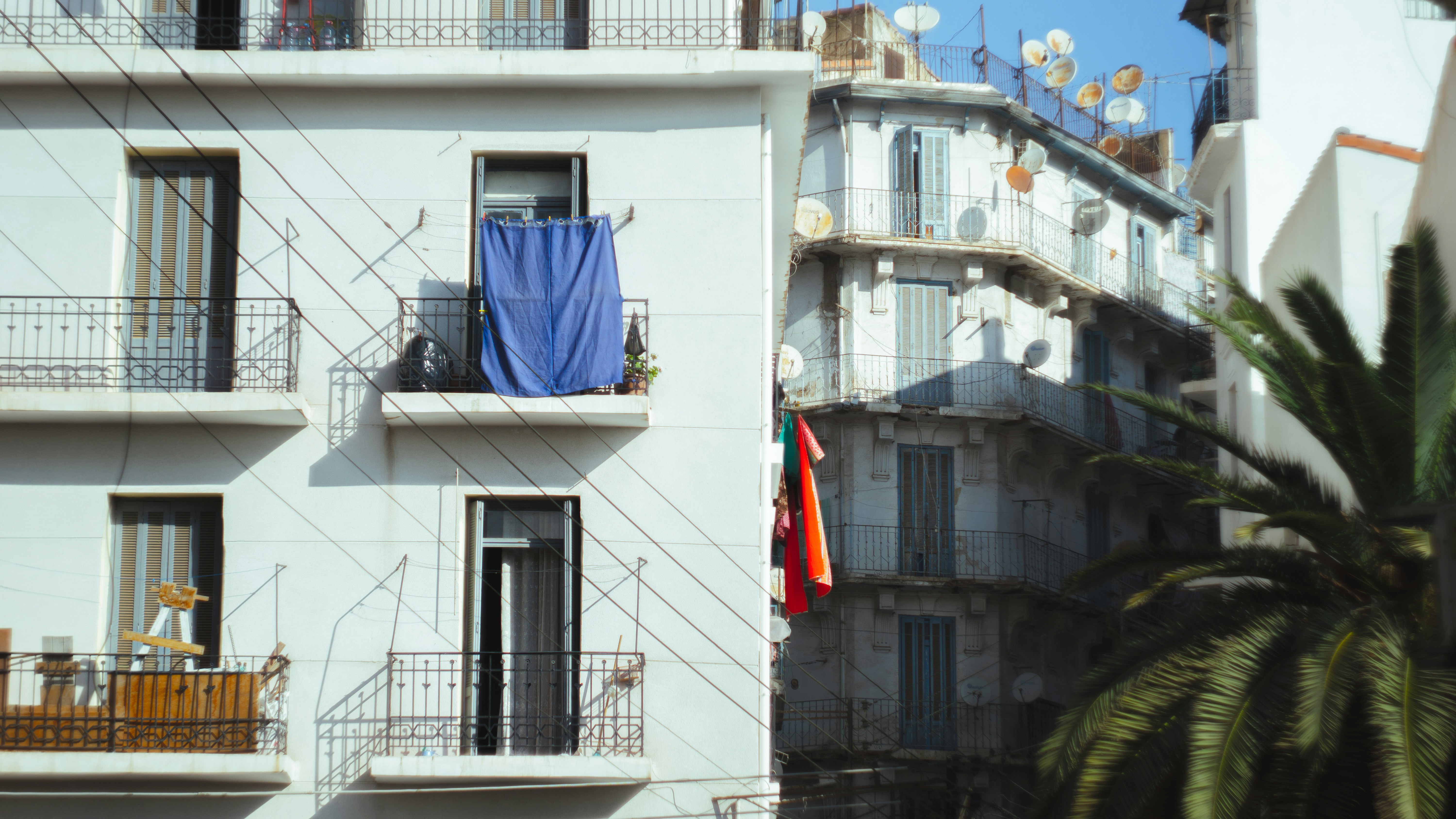 Beautiful sunset view of Algiers with traditional white buildings and mosque minaret